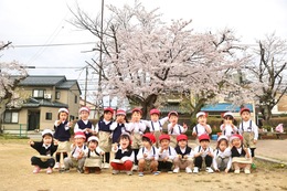 綺麗な桜がたくさん咲いてたよ！