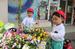 カラフルなお花がいっぱい！きれいだね。