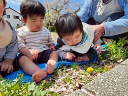これ何かな？