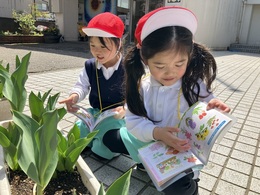 チューリップもみいつけた！「何色咲くかな？」