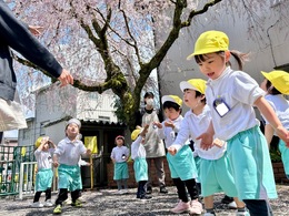 わぁ！！桜の花びら、降ってきた〜