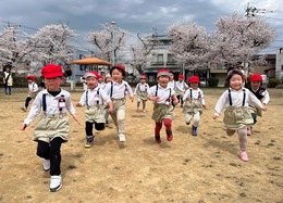 よーいどん！お花見たのしかったよ