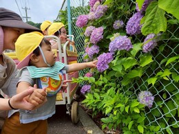 わぁ〜おっきなお花だな