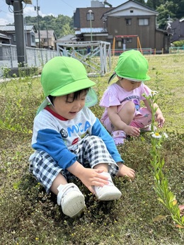 小さなお花がいっぱい！かわいいね