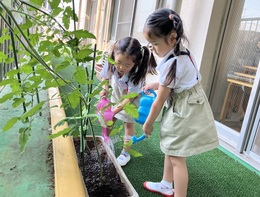 トマトおいしくなぁれ！
