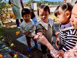 〜おさんぽ〜小さい花、なぁにかな？