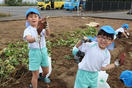〈いもほり遠足〉みて〜！おっきいのとれた！