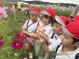 手とどっちが大きいかな？