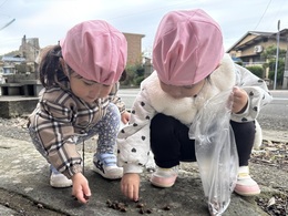 どんぐりみ〜つけた！