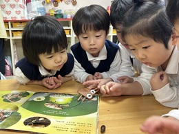 「どんぐりから虫出てきた」「(本に載っていた)これと一緒や！」