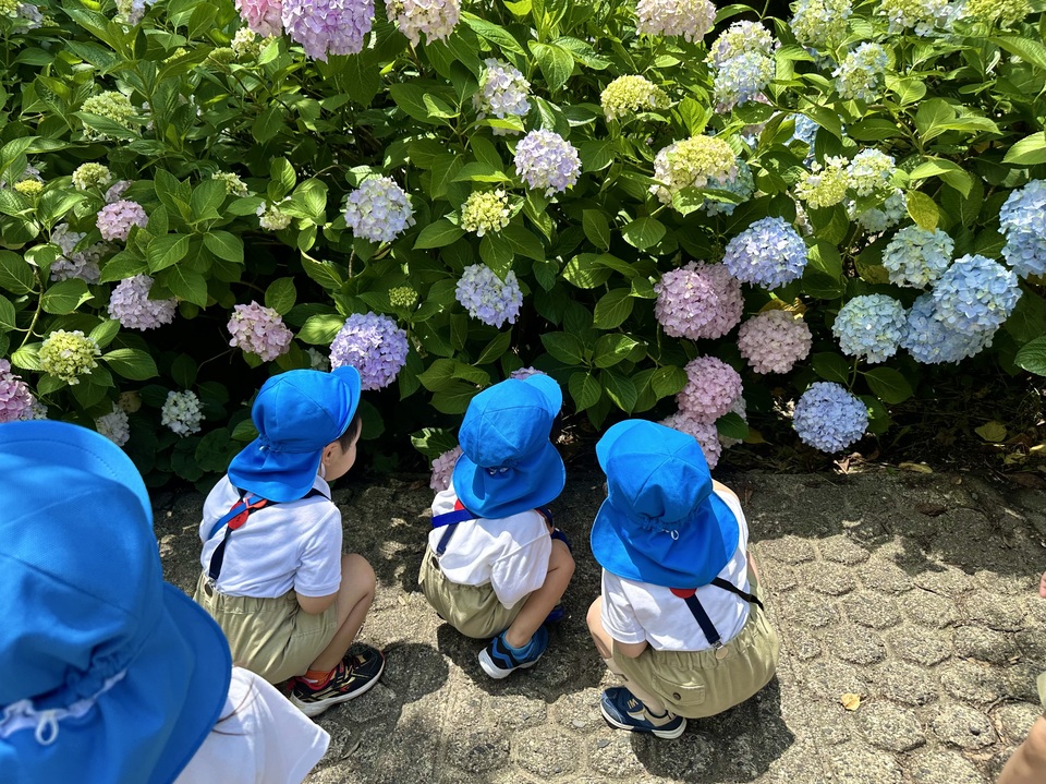 IMG_6297.jpeg